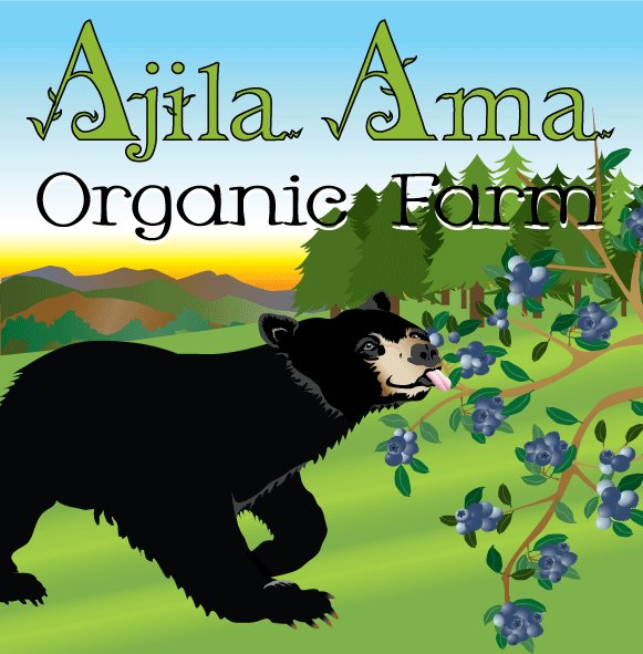 Ajila Ama Farms Logo with Vector Illustrations of a Black Bear and Blueberry Bush