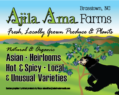 Ajila Ama Farms Market Post Card Front